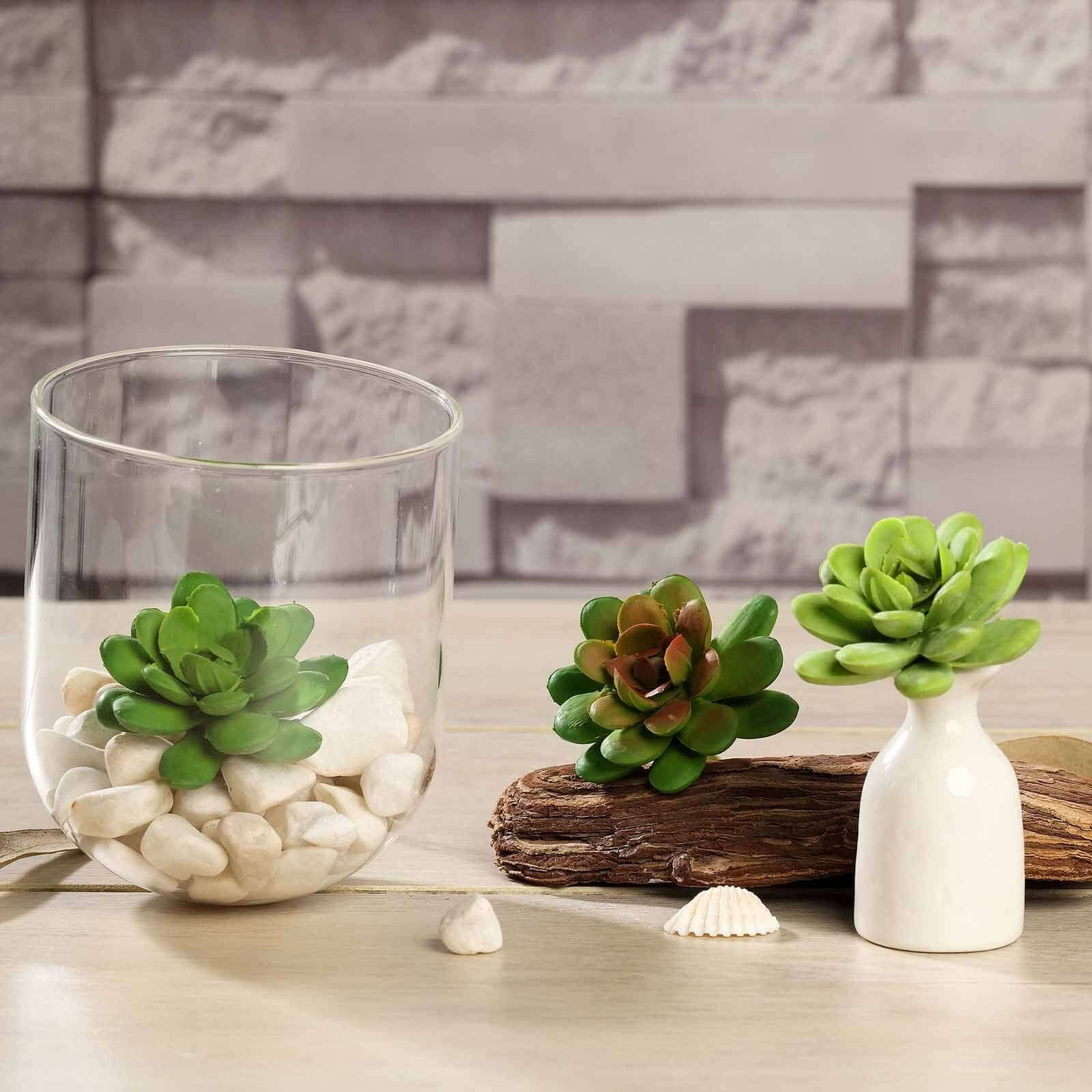3-pack-3-artificial-pvc-roundleaf-echeveria-stem-succulent-plants 3 Pack Artificial PVC Roundleaf Echeveria Stem Succulent Plants 3 - Image 1
