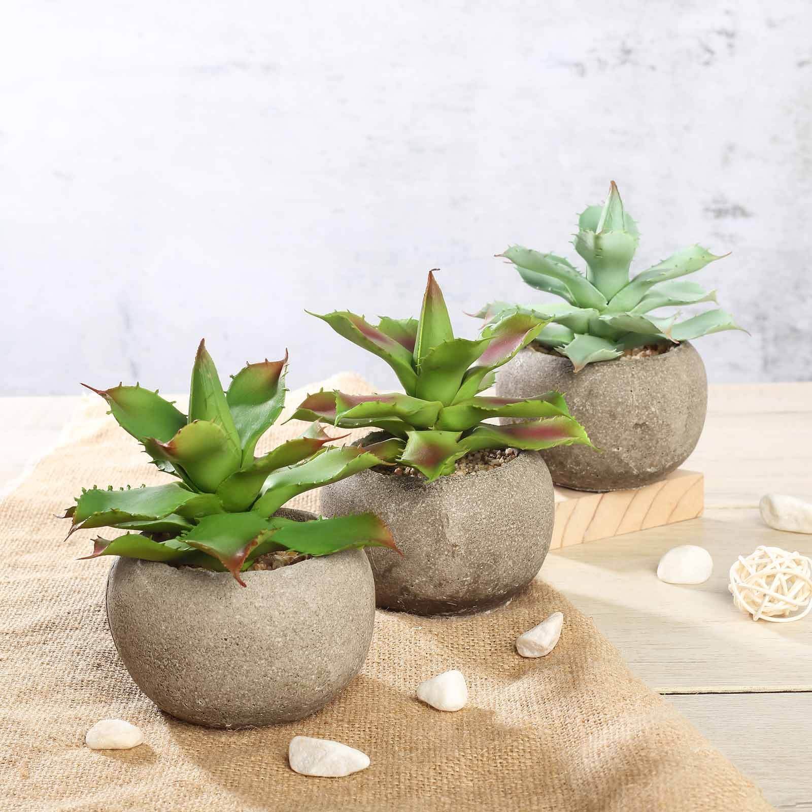 3-pack-aloe-artificial-succulents-in-ceramic-pot-5-realistic-maintenance-free-faux-plants-for-bathroom-coffee-table-shelves-desk 3-Pack Aloe Artificial Succulents in Ceramic Pot 5 - Realistic Maintenance-Free Faux Plants for Bathroom Coffee Table Shelves & Desk - Image 1