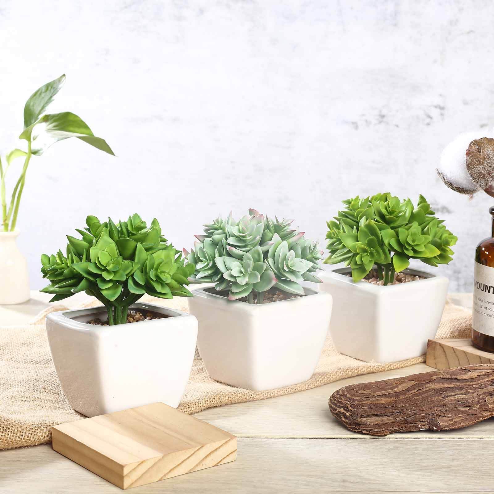 3-pack-echeveria-artificial-succulents-in-ceramic-pot-4-green-realistic-maintenance-free-faux-plants-for-bathroom-coffee-table-shelves-desk 3-Pack Echeveria Artificial Succulents in Ceramic Pot 4 Green - Realistic Maintenance-Free Faux Plants for Bathroom Coffee Table Shelves & Desk - Image 1