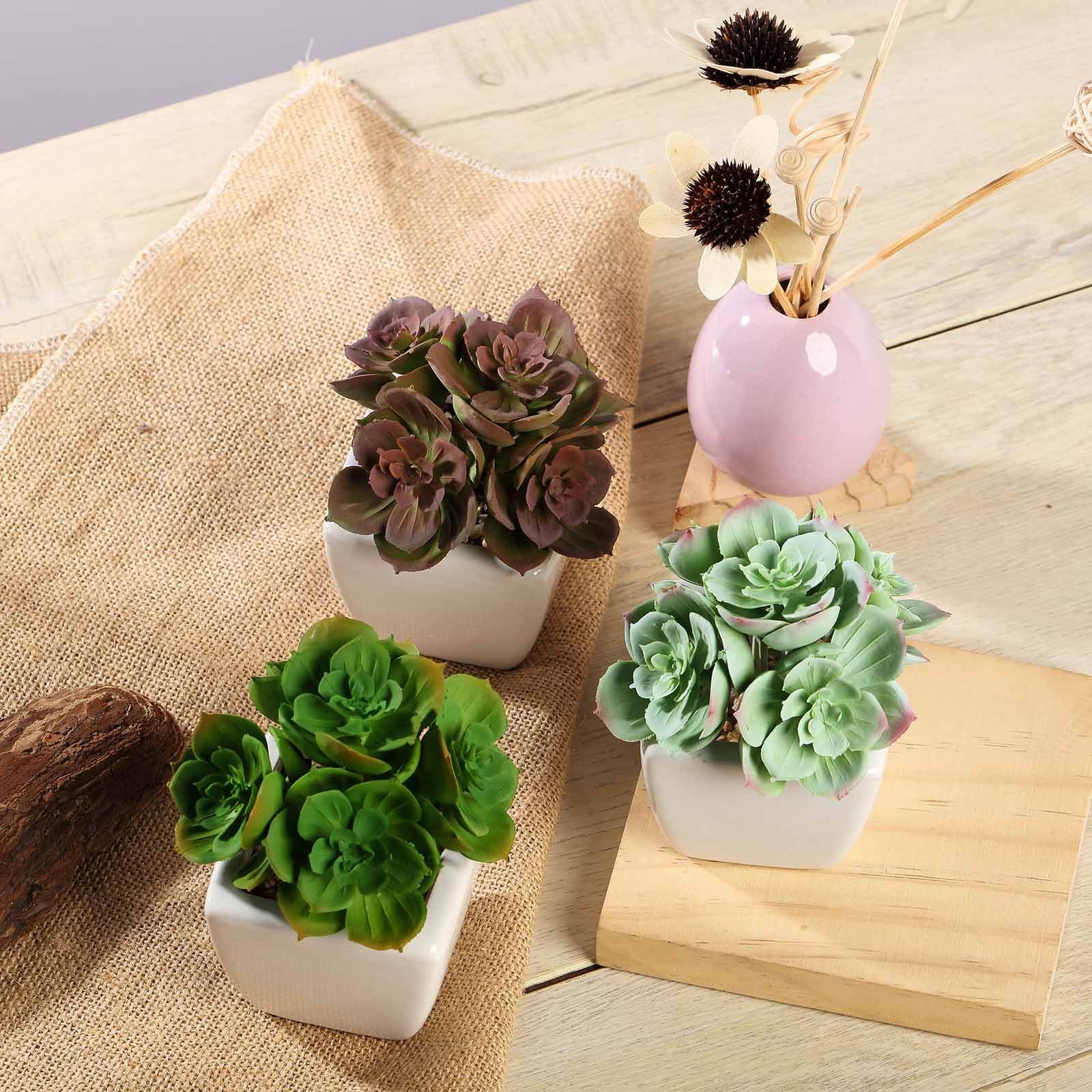 3-pack-echeveria-elegans-artificial-succulents-in-ceramic-pot-5-realistic-maintenance-free-faux-plants-for-bathroom-coffee-table-shelves-desk 3-Pack Echeveria Elegans Artificial Succulents in Ceramic Pot 5 - Realistic Maintenance-Free Faux Plants for Bathroom Coffee Table Shelves & Desk - Image 1