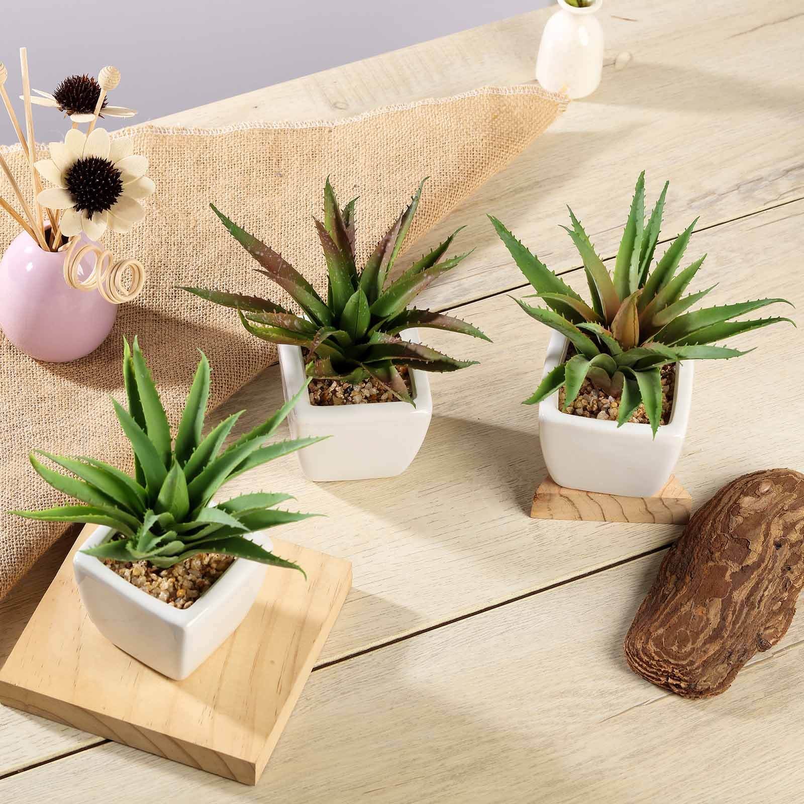 3-pack-spotted-aloe-vera-artificial-succulents-in-ceramic-pot-5-realistic-maintenance-free-faux-plants-for-bathroom-coffee-table-shelves-desk 3-Pack Spotted Aloe Vera Artificial Succulents in Ceramic Pot 5 - Realistic Maintenance-Free Faux Plants for Bathroom Coffee Table Shelves & Desk - Image 1
